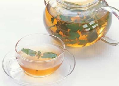 薄荷能减肥吗，夏季清凉薄荷茶的减肥功效 减肥饮品 第2张