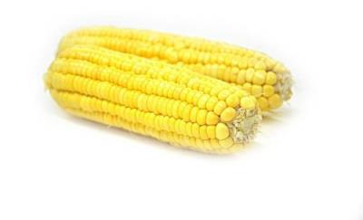 晚上吃什么食物不发胖,吃这些食物不用担心长胖问题 饮食减肥 第3张-瘦瘦减肥网 晚上吃什么食物不发胖,吃这些食物不用担心长胖问题 饮食减肥 第3张