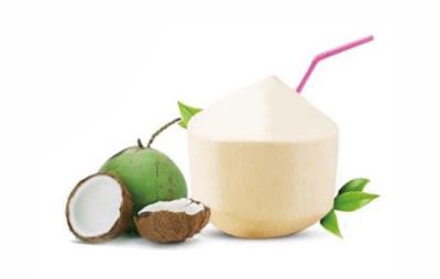 吃椰子会胖吗，夏日椰子不宜多吃 饮食减肥 第5张