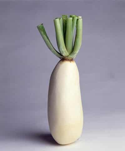 减肥水果沙拉蔬菜汁,身体部位减肥瘦瘦瘦 减肥水果 第2张-瘦瘦减肥网 减肥水果沙拉蔬菜汁,身体部位减肥瘦瘦瘦 减肥水果 第2张