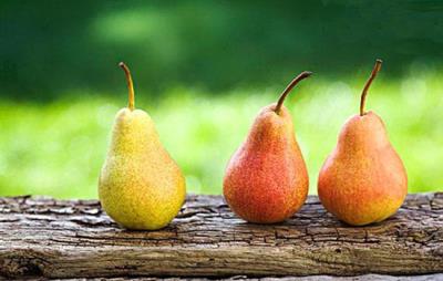 秋季减肥法一周减16斤，适合秋季减肥的饮食及运动 运动减肥 第1张