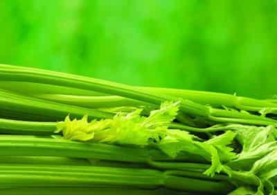 夏季减肥食品有哪些,怎样才能快速健康减肥 减肥 第1张-瘦瘦减肥网 夏季减肥食品有哪些,怎样才能快速健康减肥 减肥 第1张