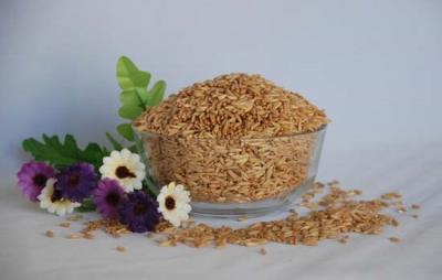 春节吃什么减肥，10种食物助春节减肥 饮食减肥 第10张