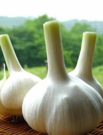 夏季懒人健康减肥食品,教你减肥妙招瘦成S型 懒人减肥 第5张-瘦瘦减肥网 夏季懒人健康减肥食品,教你减肥妙招瘦成S型 懒人减肥 第5张