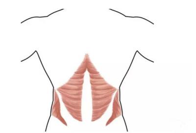 做深蹲腰疼,以这两个动作快速恢复 瘦腰 第2张-瘦瘦减肥网 做深蹲腰疼,以这两个动作快速恢复 瘦腰 第2张
