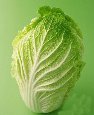 水煮白菜减肥法食谱,穷人必看日瘦1-2斤 减肥食谱 第1张-瘦瘦减肥网 水煮白菜减肥法食谱,穷人必看日瘦1-2斤 减肥食谱 第1张