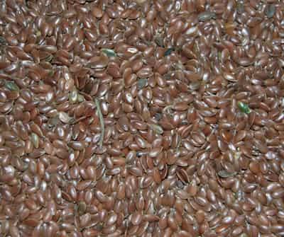 最好的热控减肥食品有哪些,教你如何吃出苗条身材 饮食减肥 第4张-瘦瘦减肥网 最好的热控减肥食品有哪些,教你如何吃出苗条身材 饮食减肥 第4张