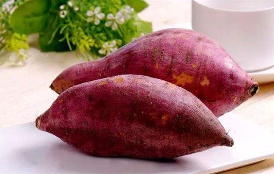 红薯能减肥吗,红薯怎么吃减肥 饮食减肥 第2张-瘦瘦减肥网 红薯能减肥吗,红薯怎么吃减肥 饮食减肥 第2张