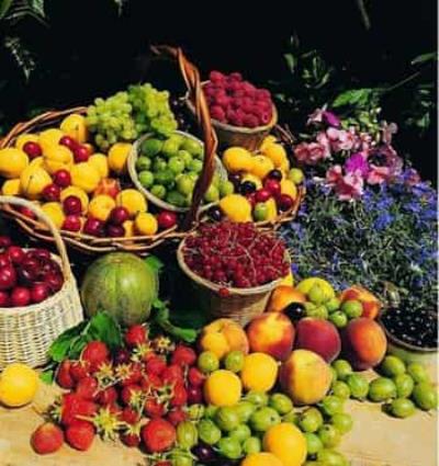 冬季怎么减肥瘦肚子方法,小“腹”婆的“腰”精秘籍 减肚子 第4张-瘦瘦减肥网 冬季怎么减肥瘦肚子方法,小“腹”婆的“腰”精秘籍 减肚子 第4张