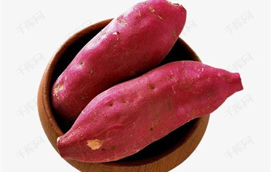 红薯能减肥吗,红薯怎么吃减肥 饮食减肥 第1张-瘦瘦减肥网 红薯能减肥吗,红薯怎么吃减肥 饮食减肥 第1张