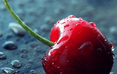 21天减肥法的危害,实行21天减肥法当心这些危害 减肥方法 第1张-瘦瘦减肥网 21天减肥法的危害,实行21天减肥法当心这些危害 减肥方法 第1张