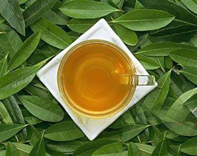 八款春季消脂养生减肥茶,排毒养颜加速新陈代谢 减肥饮品 第8张-瘦瘦减肥网 八款春季消脂养生减肥茶,排毒养颜加速新陈代谢 减肥饮品 第8张