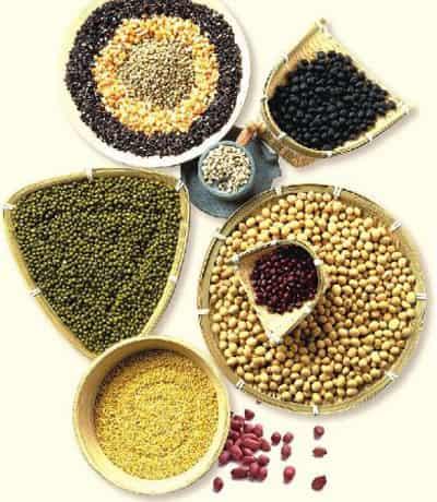 健康减肥方法，十种美味食物来帮你 减肥 第8张