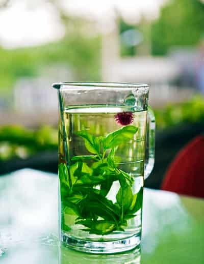 夏季饮食吃什么减肥最好，五种越喝越减肥的夏日饮品 饮食减肥 第2张