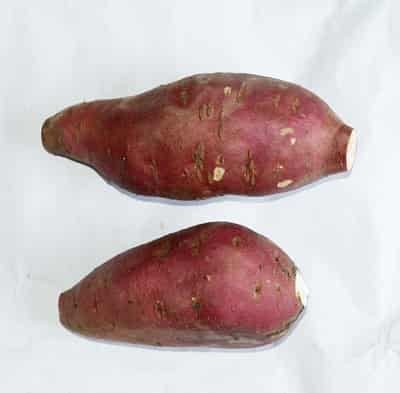 刘嘉玲红薯减肥法狂瘦28斤，解析女明星如何成功瘦身 减肥方法 第4张