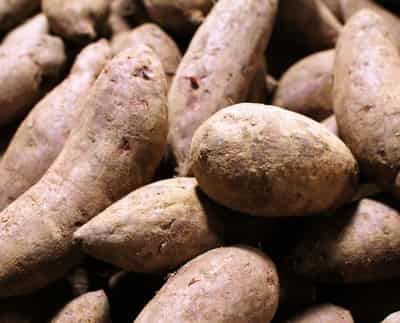 刘嘉玲红薯减肥法狂瘦28斤，解析女明星如何成功瘦身 减肥方法 第5张