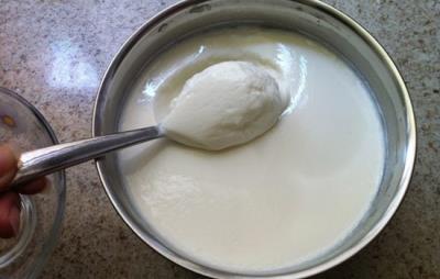 自制酸奶用什么菌种,菌粉还是市售酸奶做种好 减肥 第1张-瘦瘦减肥网 自制酸奶用什么菌种,菌粉还是市售酸奶做种好 减肥 第1张