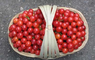 吃樱桃会胖吗,不会胖但忌把樱桃当减肥利器 饮食减肥 第1张-瘦瘦减肥网 吃樱桃会胖吗,不会胖但忌把樱桃当减肥利器 饮食减肥 第1张