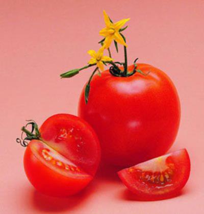 吃什么水果减肥最快,懒人独家减肥小妙招 懒人减肥 第2张-瘦瘦减肥网 吃什么水果减肥最快,懒人独家减肥小妙招 懒人减肥 第2张