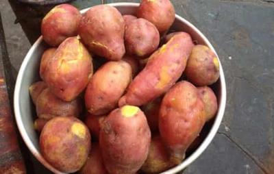 红薯减肥法，超有效的减肥方法 减肥方法 第3张