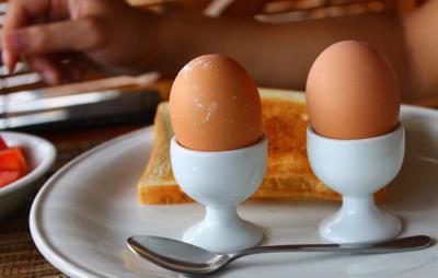 蛋白质减肥法越吃越瘦,5天食谱5大成功秘诀助你吃着享瘦 减肥食谱 第4张-瘦瘦减肥网 蛋白质减肥法越吃越瘦,5天食谱5大成功秘诀助你吃着享瘦 减肥食谱 第4张