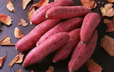 红薯减肥法，超有效的减肥方法 减肥方法 第7张