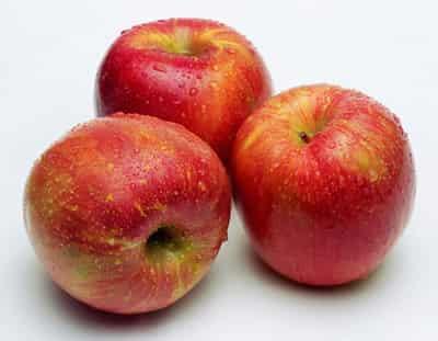 吃什么东西可以减肥,减肥食物大分享让你快速减肥 快速减肥 第1张-瘦瘦减肥网 吃什么东西可以减肥,减肥食物大分享让你快速减肥 快速减肥 第1张