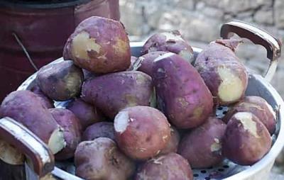 红薯减肥法，超有效的减肥方法 减肥方法 第4张