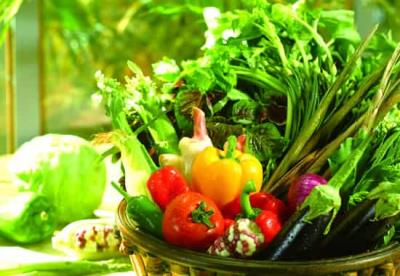 初秋饮食减肥法:吃什么食物减肥最好最快 饮食减肥 第5张-瘦瘦减肥网 初秋饮食减肥法:吃什么食物减肥最好最快 饮食减肥 第5张