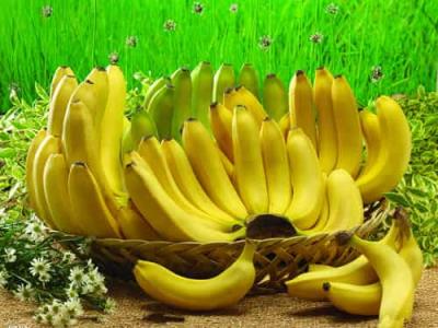 最有效的懒人减肥法,推荐春季水果酸奶减肥法 懒人减肥 第6张-瘦瘦减肥网 最有效的懒人减肥法,推荐春季水果酸奶减肥法 懒人减肥 第6张