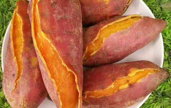 天天吃红薯能减肥吗(早餐吃红薯能减肥吗) 饮食减肥 第1张-瘦瘦减肥网 天天吃红薯能减肥吗(早餐吃红薯能减肥吗) 饮食减肥 第1张