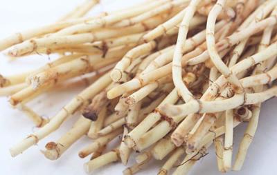 鱼腥草泡水喝能减肥吗,鱼腥草适合水肿型肥胖 关于肥胖 第3张-瘦瘦减肥网 鱼腥草泡水喝能减肥吗,鱼腥草适合水肿型肥胖 关于肥胖 第3张