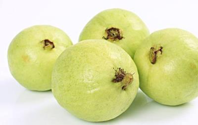 吃番石榴能减肥吗,夏季推荐番石榴减肥法 饮食减肥 第5张-瘦瘦减肥网 吃番石榴能减肥吗,夏季推荐番石榴减肥法 饮食减肥 第5张