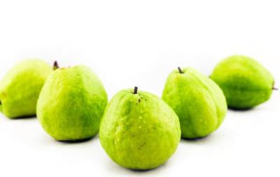 吃番石榴能减肥吗,夏季推荐番石榴减肥法 饮食减肥 第1张-瘦瘦减肥网 吃番石榴能减肥吗,夏季推荐番石榴减肥法 饮食减肥 第1张