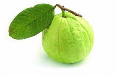 吃番石榴能减肥吗,夏季推荐番石榴减肥法 饮食减肥 第3张-瘦瘦减肥网 吃番石榴能减肥吗,夏季推荐番石榴减肥法 饮食减肥 第3张