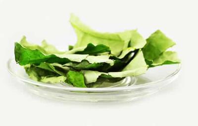 荷叶茶隔夜还能喝吗，隔夜茶不建议喝但也有妙用 减肥饮品 第4张