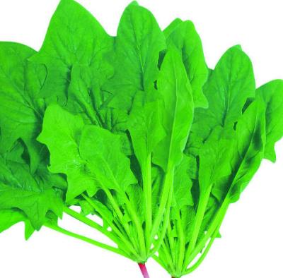 脸上肉肉多吃什么食物可以瘦脸,5种食物成就立体V型脸 瘦脸 第1张-瘦瘦减肥网 脸上肉肉多吃什么食物可以瘦脸,5种食物成就立体V型脸 瘦脸 第1张