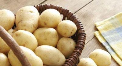 最有效的减肥方法,10种健康减肥吃法让你快速减肥不反弹 快速减肥 第10张-瘦瘦减肥网 最有效的减肥方法,10种健康减肥吃法让你快速减肥不反弹 快速减肥 第10张