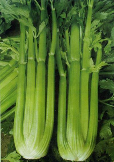 吃什么食物瘦脸,小编瘦脸的最快方法大比拼 瘦脸 第3张-瘦瘦减肥网 吃什么食物瘦脸,小编瘦脸的最快方法大比拼 瘦脸 第3张