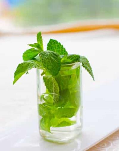 秋季最有效的薄荷减肥食谱,健康排毒瘦的快 减肥食谱 第2张-瘦瘦减肥网 秋季最有效的薄荷减肥食谱,健康排毒瘦的快 减肥食谱 第2张