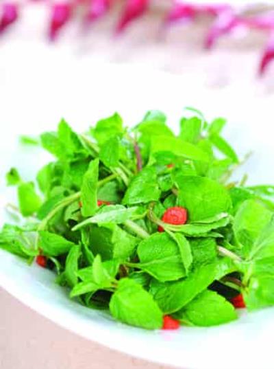 秋季最有效的薄荷减肥食谱,健康排毒瘦的快 减肥食谱 第5张-瘦瘦减肥网 秋季最有效的薄荷减肥食谱,健康排毒瘦的快 减肥食谱 第5张