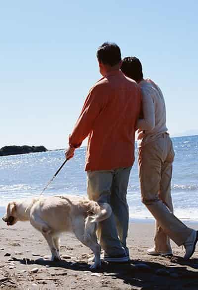 每天走路真的能减肥吗,走路减肥法轻松快速甩脂 减肥方法 第2张-瘦瘦减肥网 每天走路真的能减肥吗,走路减肥法轻松快速甩脂 减肥方法 第2张