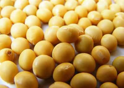 夏日营养减肥粥的做法,健康美味快速有效减肥 减肥 第1张-瘦瘦减肥网 夏日营养减肥粥的做法,健康美味快速有效减肥 减肥 第1张