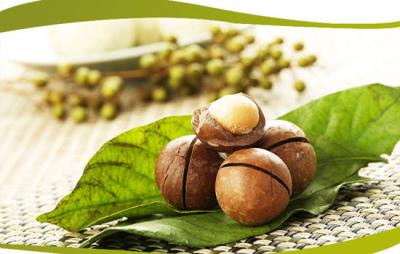 吃夏威夷果会发胖吗，适量吃坚果其实可以减肥 饮食减肥 第3张