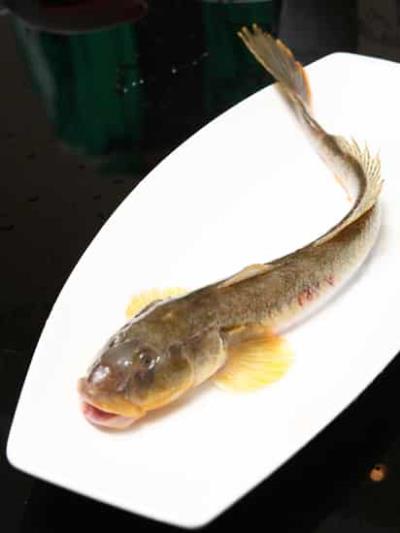 吃什么可以减肥，热荐六种减肥有强效的食物 饮食减肥 第6张