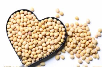 吃什么可以减肥，热荐六种减肥有强效的食物 饮食减肥 第3张