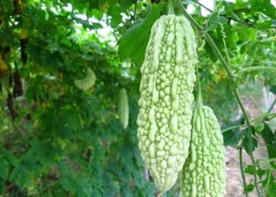 懒人族专属的减肥方法,8招让你轻松“享”瘦 懒人减肥 第1张-瘦瘦减肥网 懒人族专属的减肥方法,8招让你轻松“享”瘦 懒人减肥 第1张