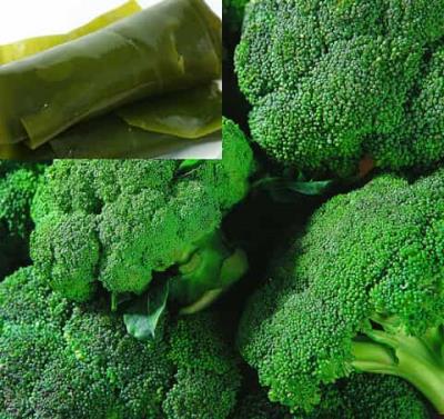 懒人族专属的减肥方法,8招让你轻松“享”瘦 懒人减肥 第3张-瘦瘦减肥网 懒人族专属的减肥方法,8招让你轻松“享”瘦 懒人减肥 第3张