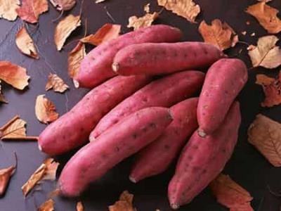 秋季新颖减肥饮食,减肥不再是梦想 减肥 第2张-瘦瘦减肥网 秋季新颖减肥饮食,减肥不再是梦想 减肥 第2张