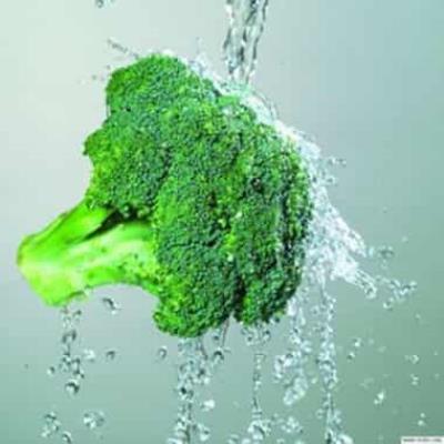 秋季新颖减肥饮食,减肥不再是梦想 减肥 第3张-瘦瘦减肥网 秋季新颖减肥饮食,减肥不再是梦想 减肥 第3张